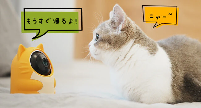 SwitchBot 見守りカメラ 3MP にゃんボット - Image 10