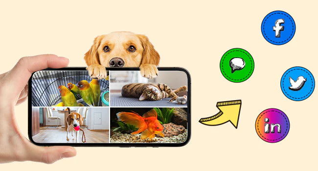 SwitchBot 見守りカメラ 3MP わんボット - Image 13