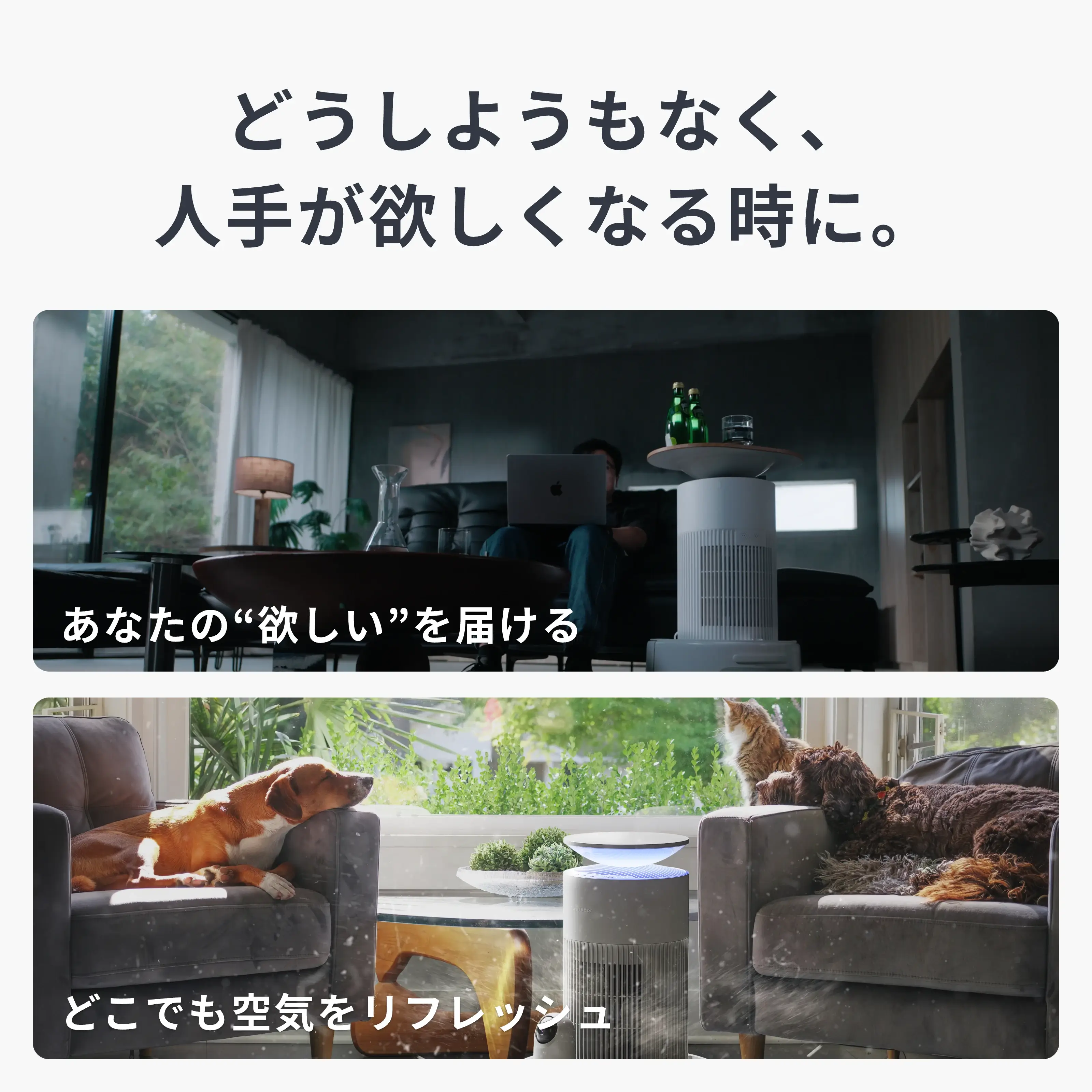 SwitchBot マルチタスク家庭用ロボットK20＋Pro - Image 4